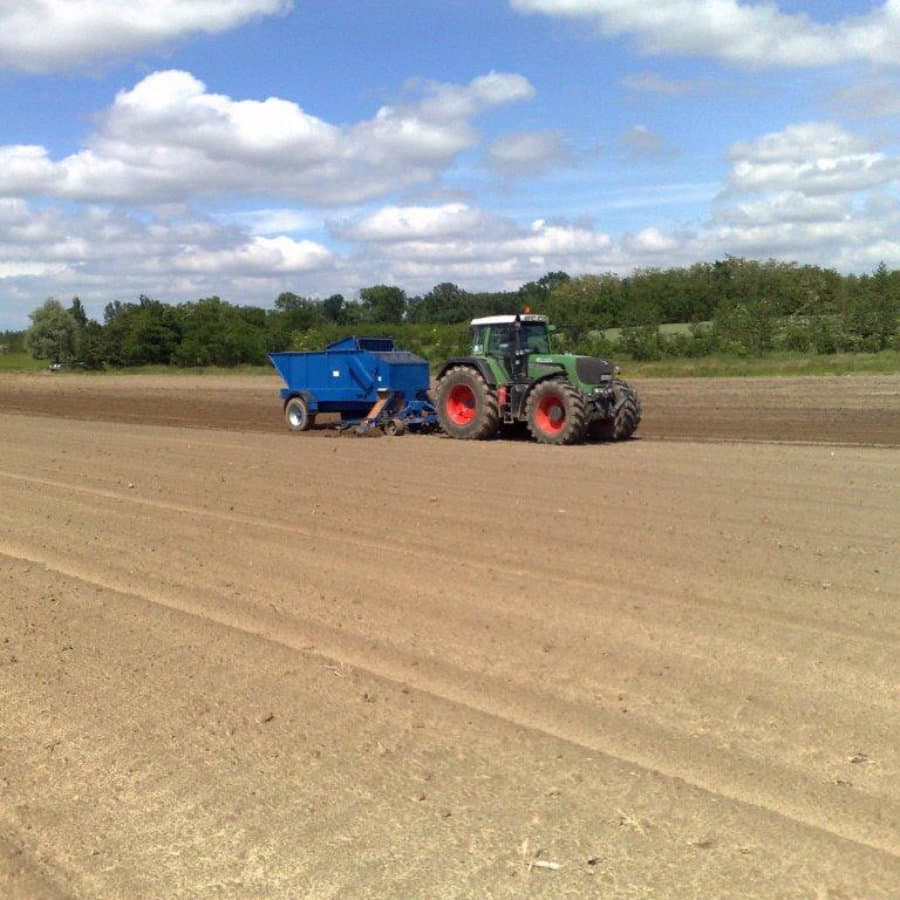 Using a specialist planter developed by one of our grower members - WH Loxton of Somerset